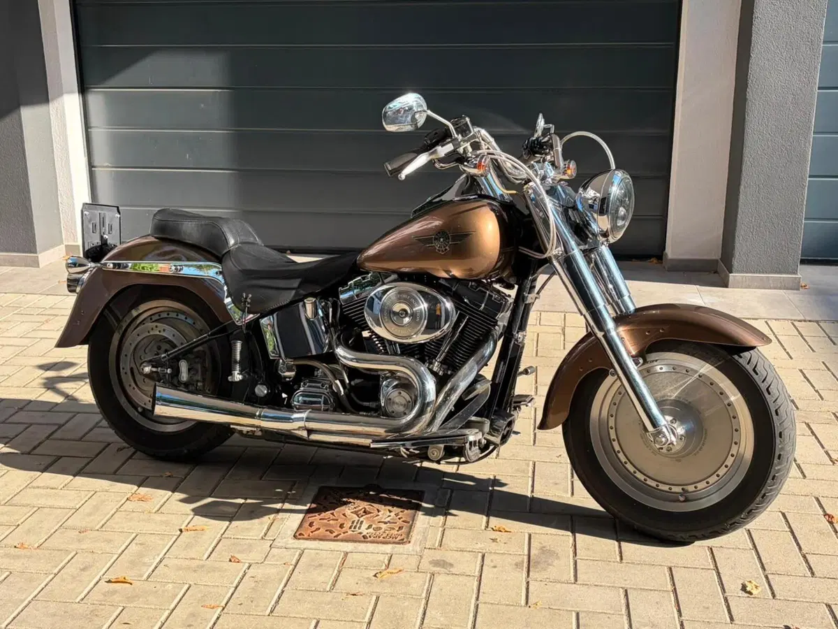 Harley-Davidson 1450 Fat Boy (1999 - 02) - FLSTF (18)