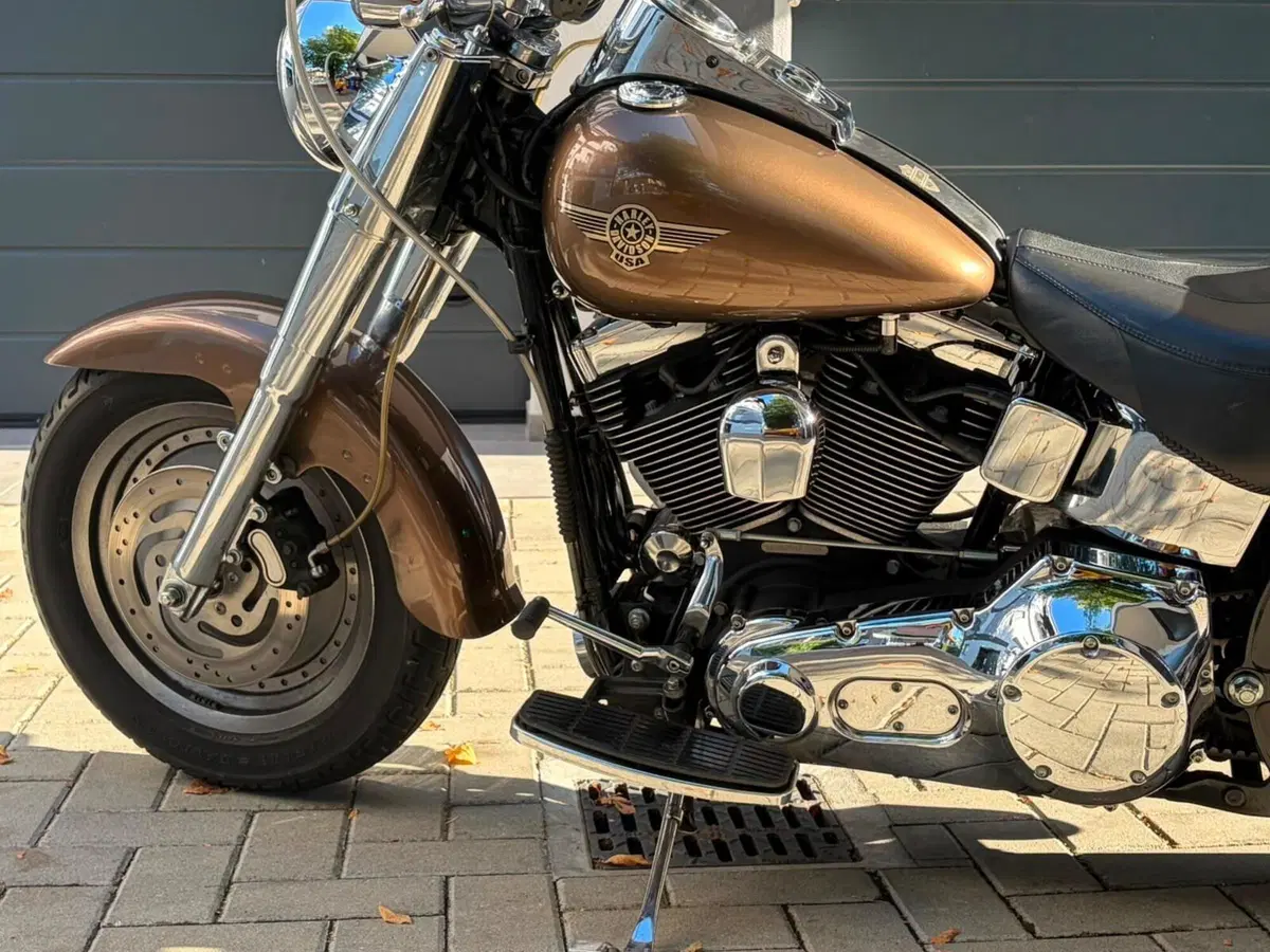 Harley-Davidson 1450 Fat Boy (1999 - 02) - FLSTF (19)