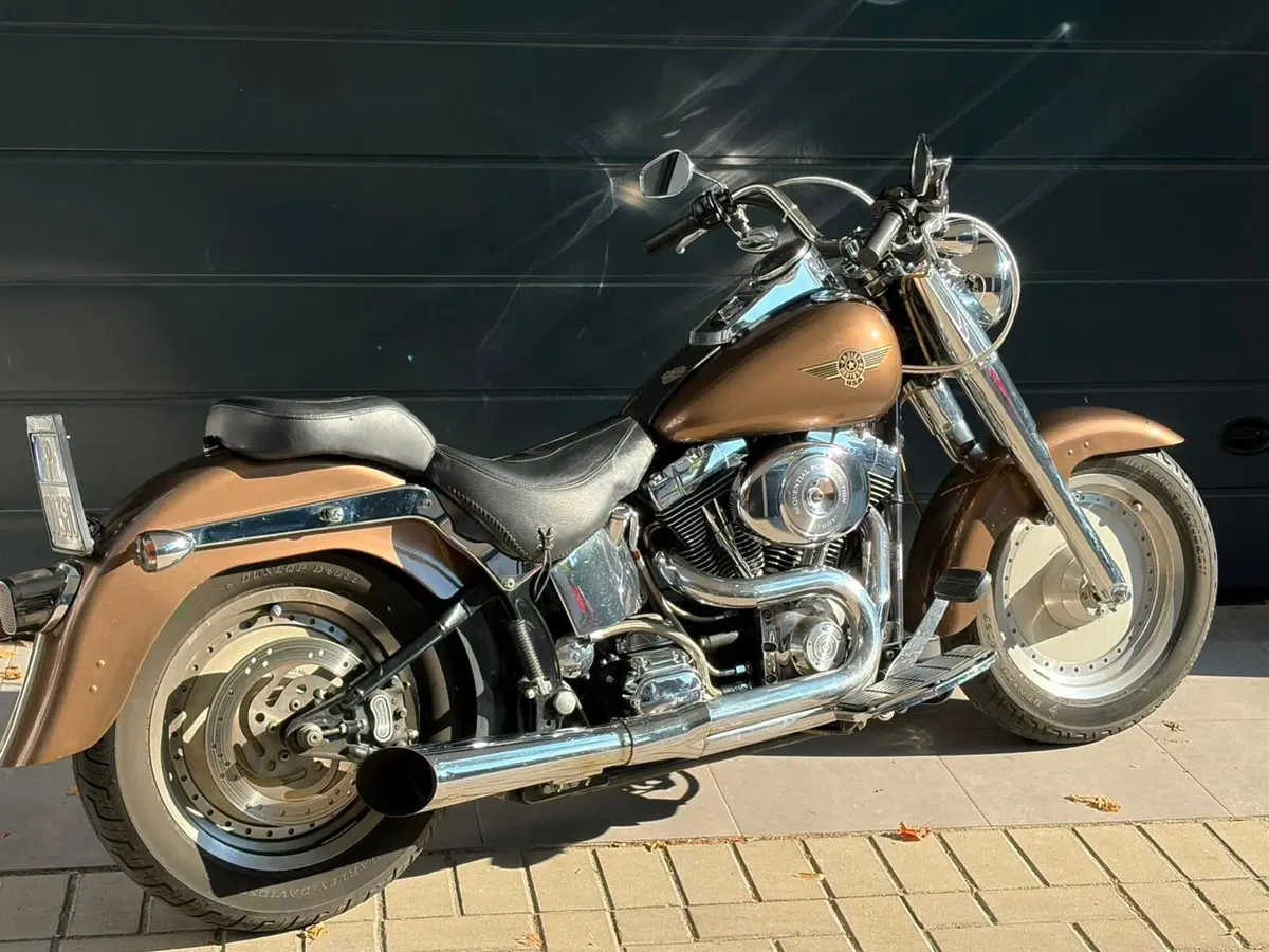Harley-Davidson 1450 Fat Boy (1999 - 02) - FLSTF (20)
