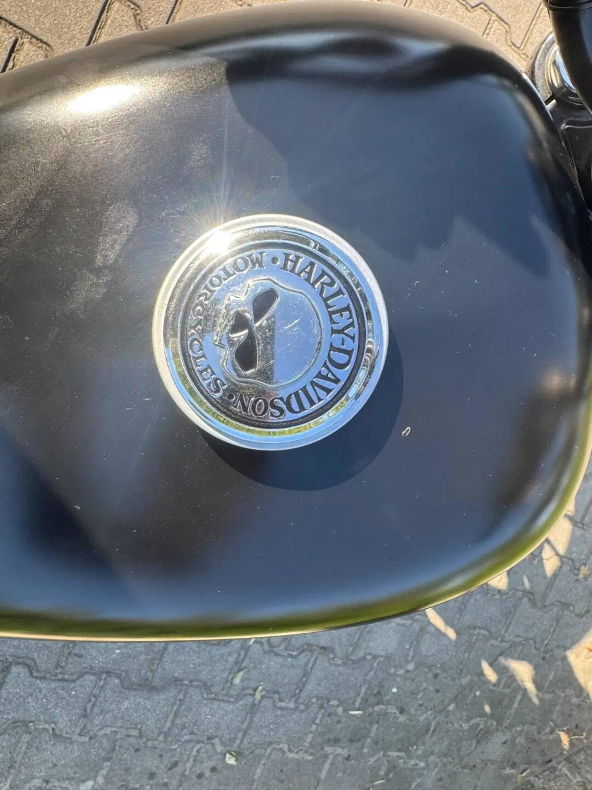 Harley-Davidson 883 Iron (2014 - 16) - XL 883N (15)