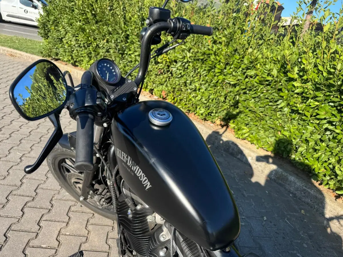 Harley-Davidson 883 Iron (2014 - 16) - XL 883N (2)