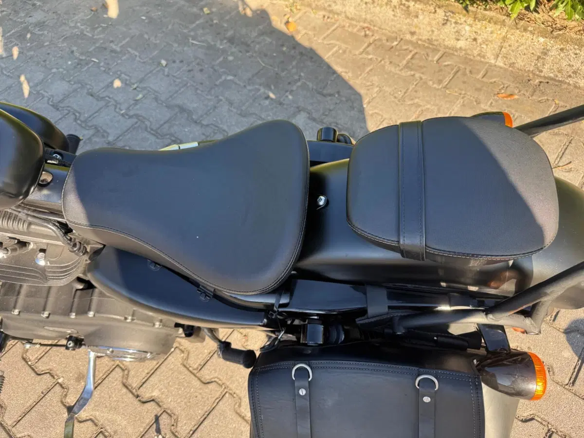Harley-Davidson 883 Iron (2014 - 16) - XL 883N (12)