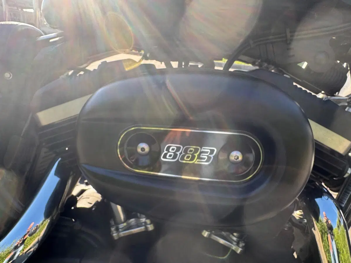 Harley-Davidson 883 Iron (2014 - 16) - XL 883N (9)