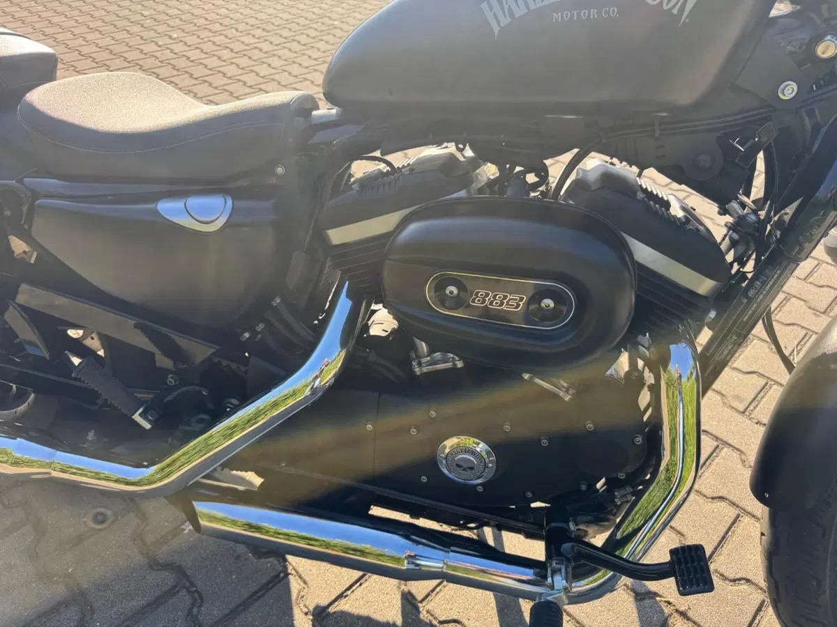 Harley-Davidson 883 Iron (2014 - 16) - XL 883N (10)