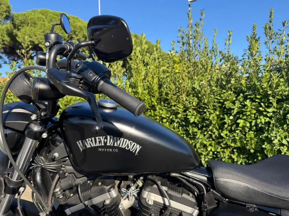 Harley-Davidson 883 Iron (2014 - 16) - XL 883N (8)