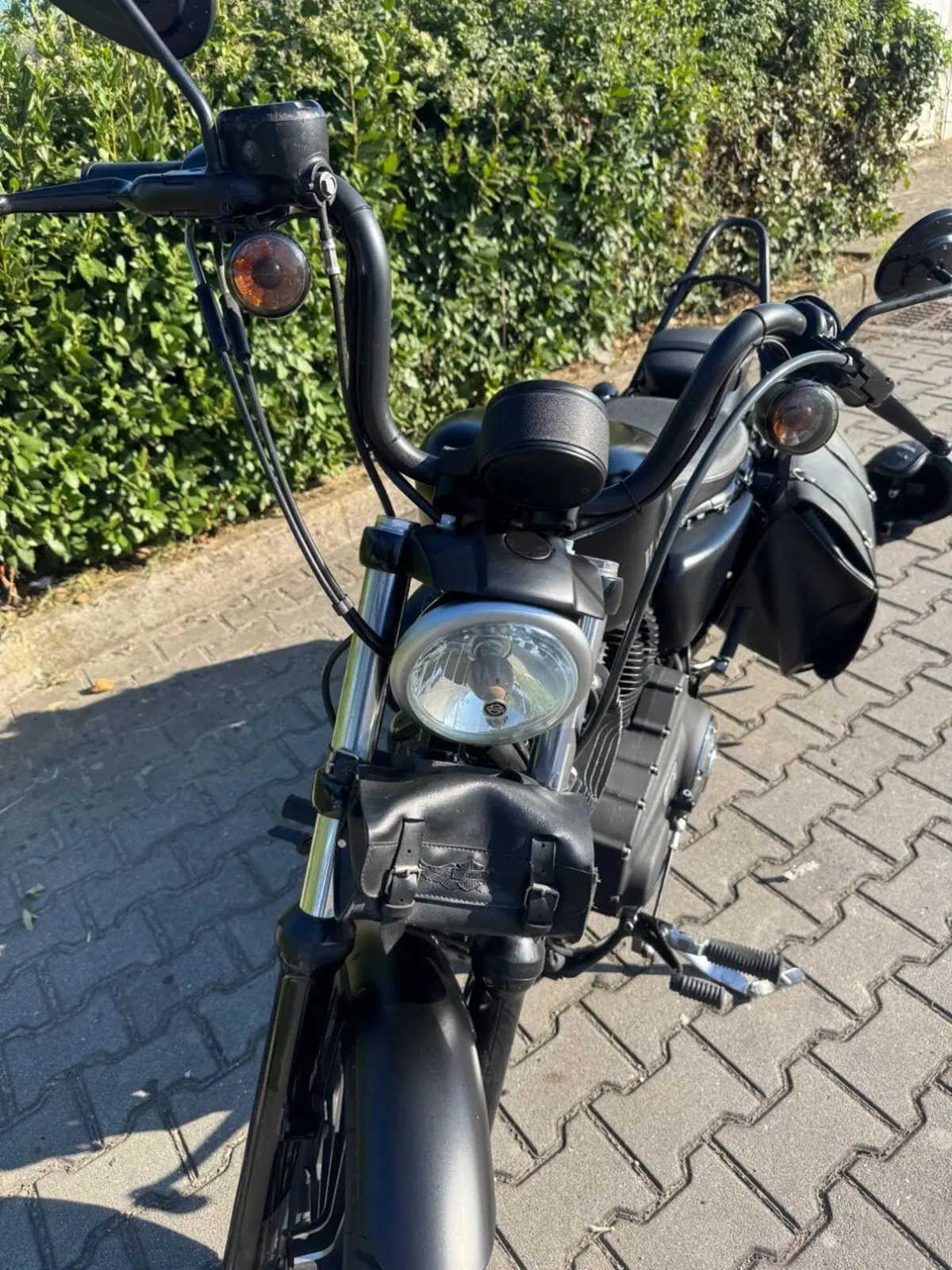 Harley-Davidson 883 Iron (2014 - 16) - XL 883N (3)