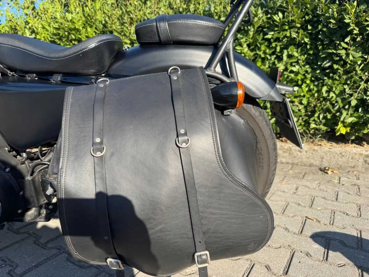 Harley-Davidson 883 Iron (2014 - 16) - XL 883N (13)