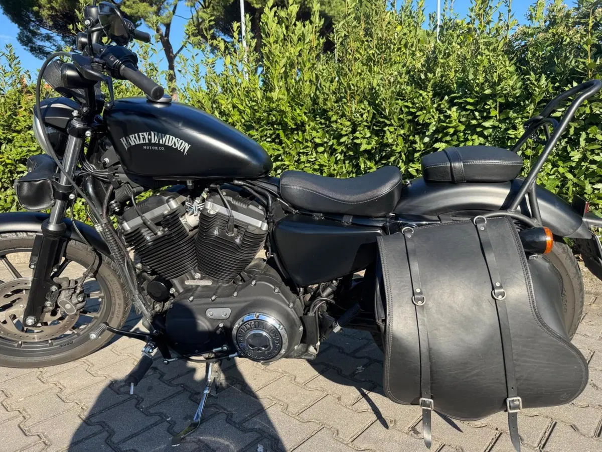 Harley-Davidson 883 Iron (2014 - 16) - XL 883N