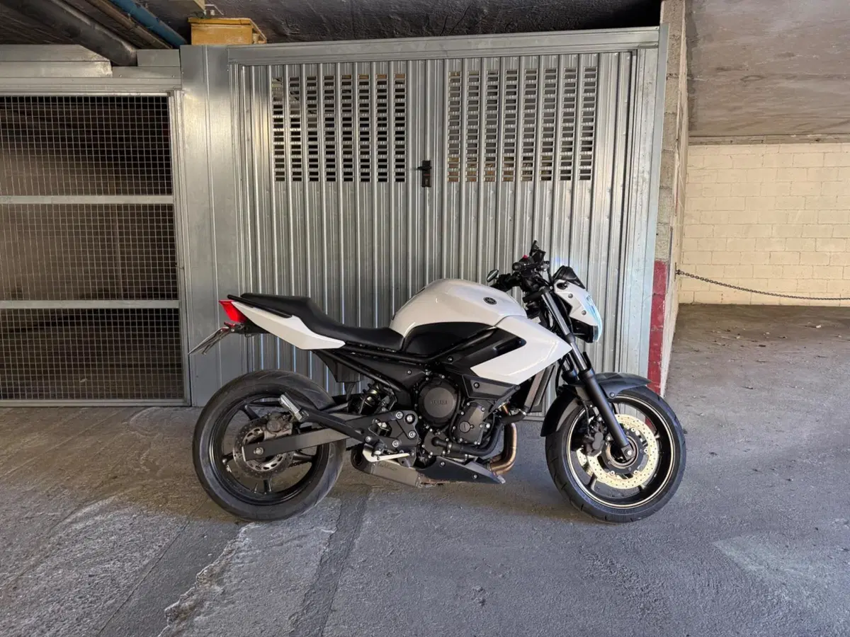 Yamaha XJ6 (2008 - 15) (2)