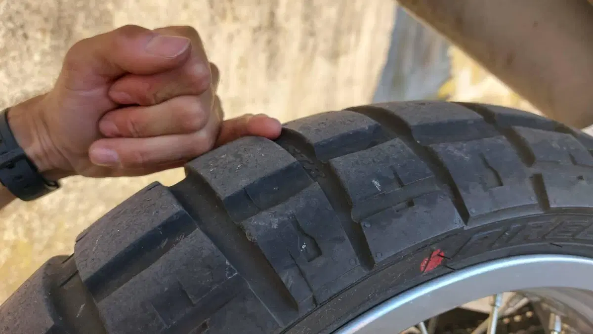 Swm SM 650 R (2015 - 16) (4)