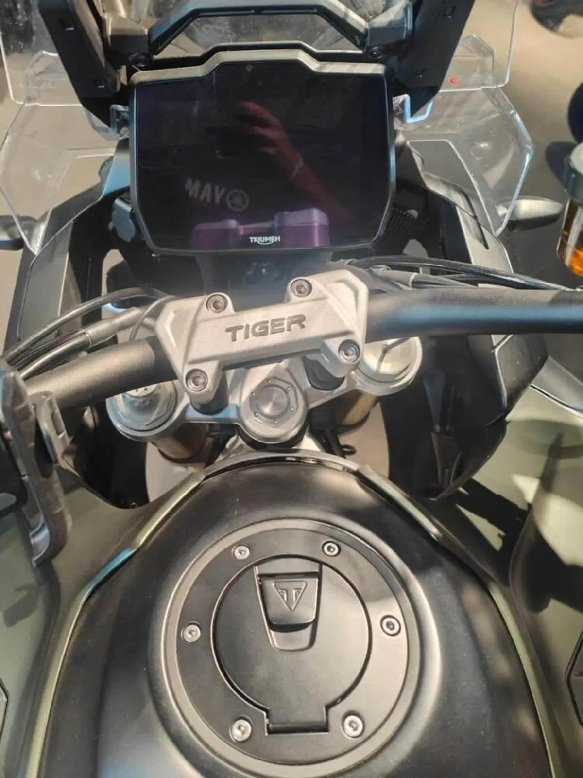 Triumph Tiger 1200 Rally Explorer (2022 - 23) (5)