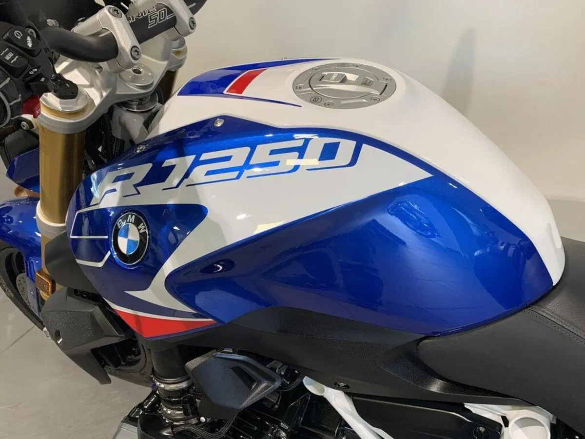 Bmw R 1250 R (2021 - 25) (8)