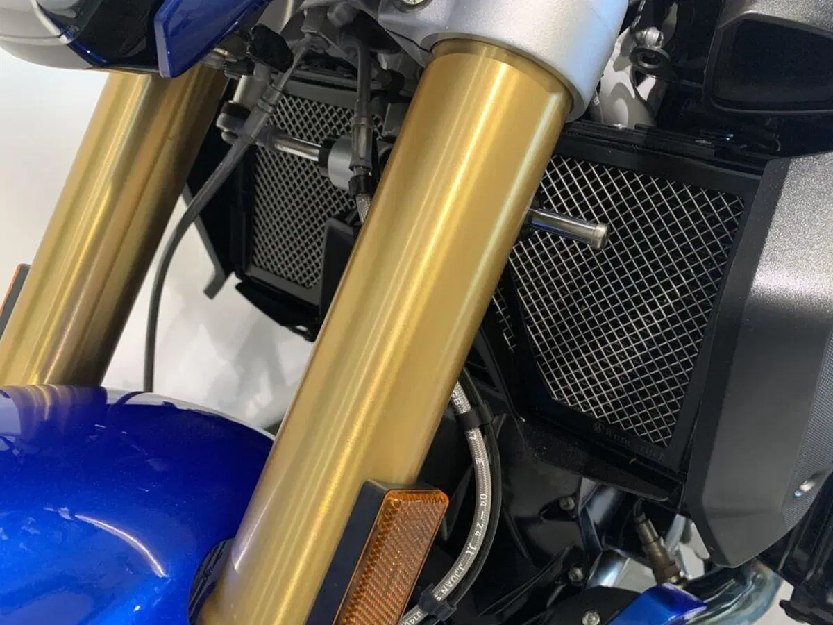 Bmw R 1250 R (2021 - 25) (13)