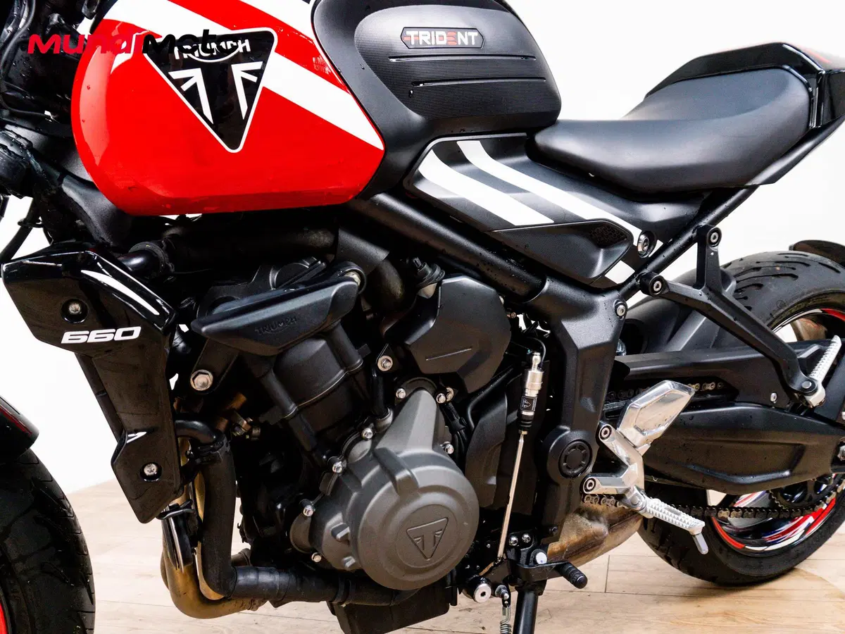 Triumph Trident 660 (2021 - 24) (9)