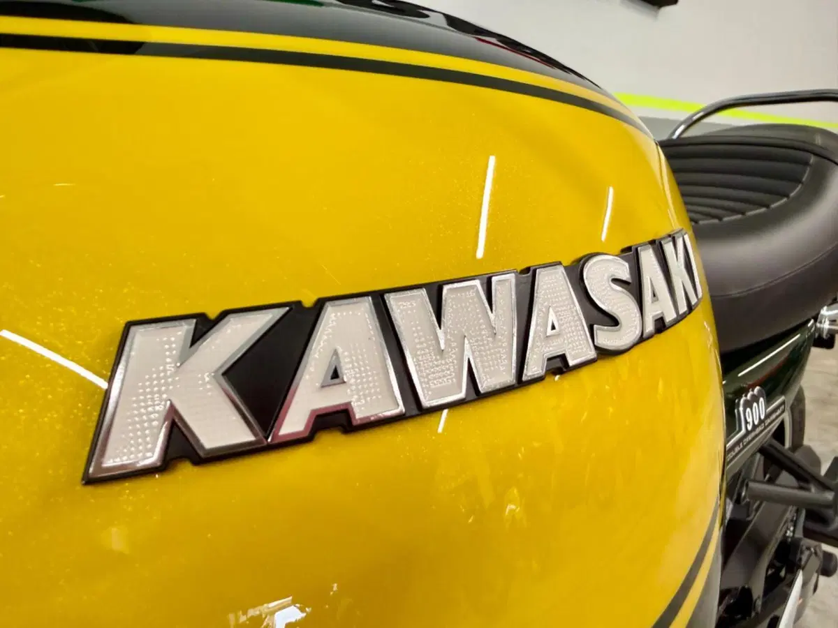 Kawasaki Z 900 RS (2022 - 25) (16)