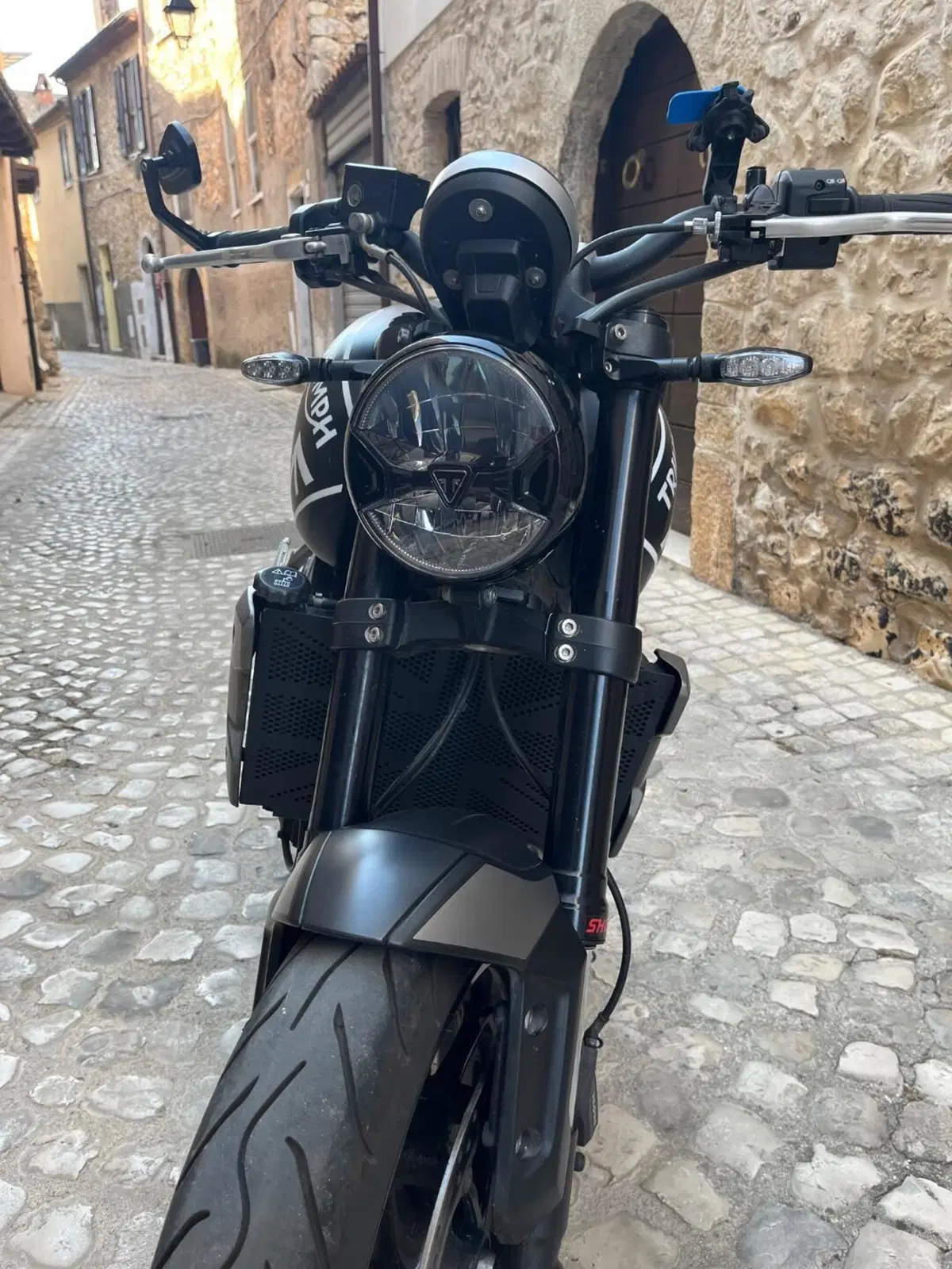 Triumph Trident 660 (2021 - 24) (4)