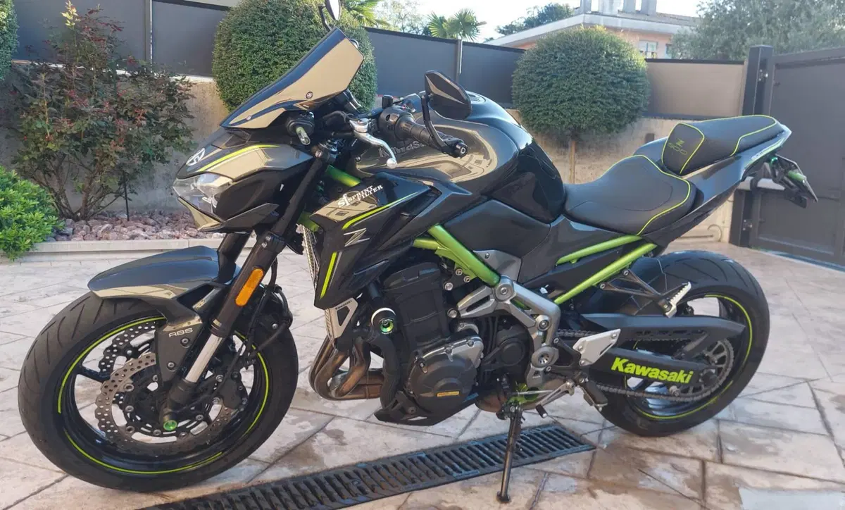 Kawasaki Z 900 Performance (2019) (2)