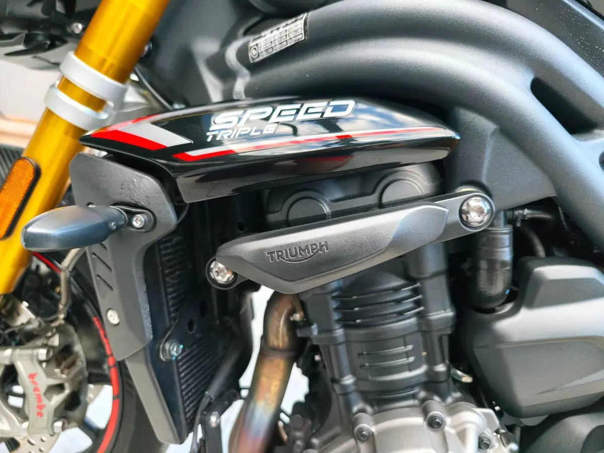 Triumph Speed Triple 1200 RS (2021 - 24) (13)