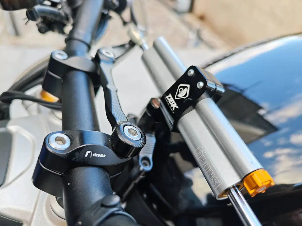 Triumph Speed Triple 1200 RS (2021 - 24) (8)
