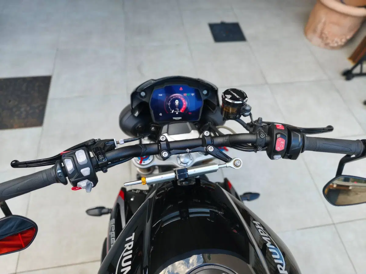 Triumph Speed Triple 1200 RS (2021 - 24) (15)