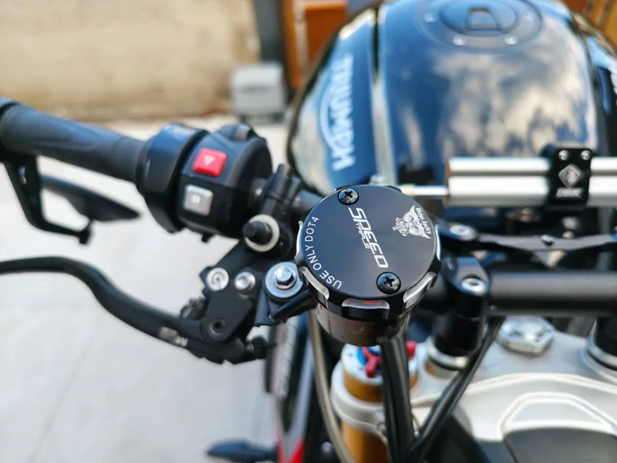 Triumph Speed Triple 1200 RS (2021 - 24) (16)