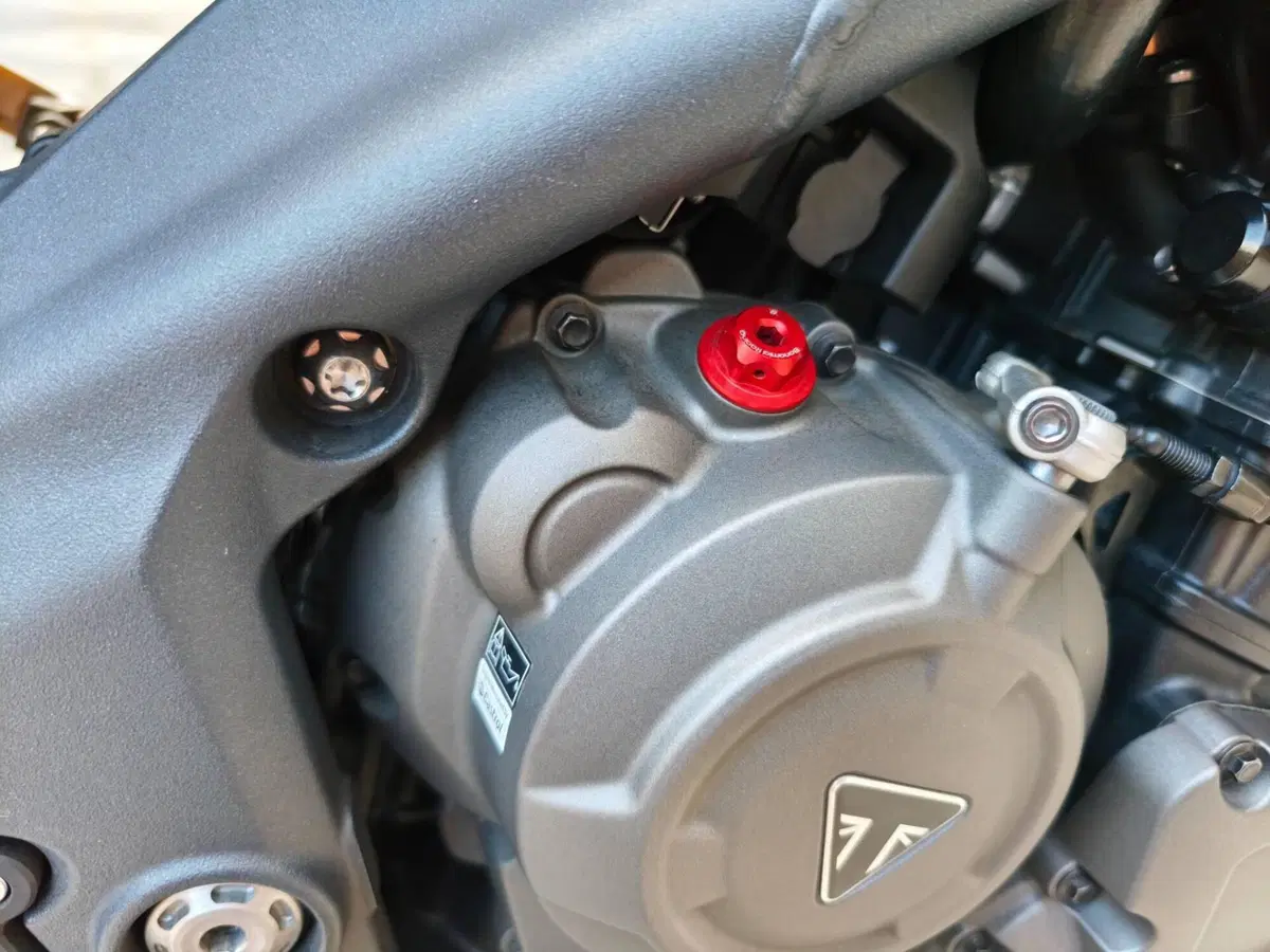 Triumph Speed Triple 1200 RS (2021 - 24) (17)