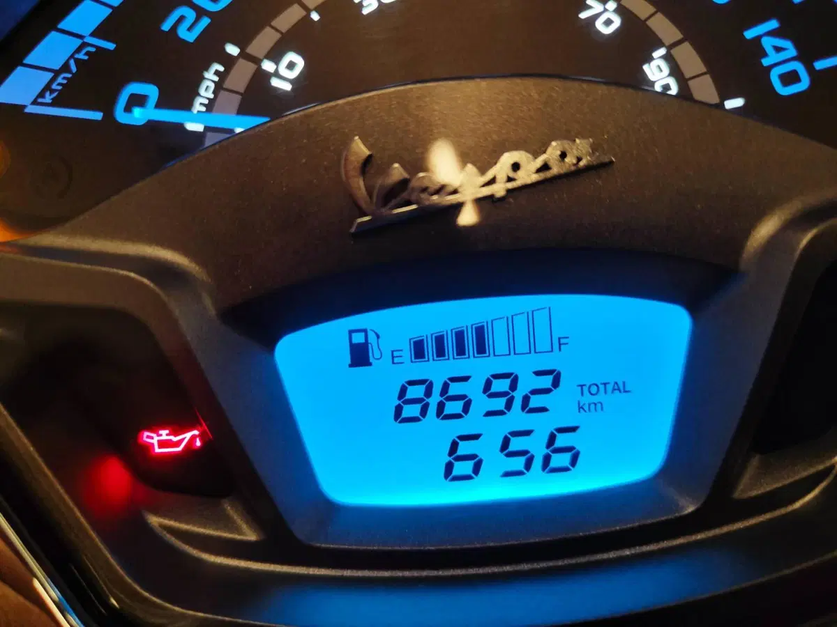 Vespa GTS 300 Hpe (2019) (8)