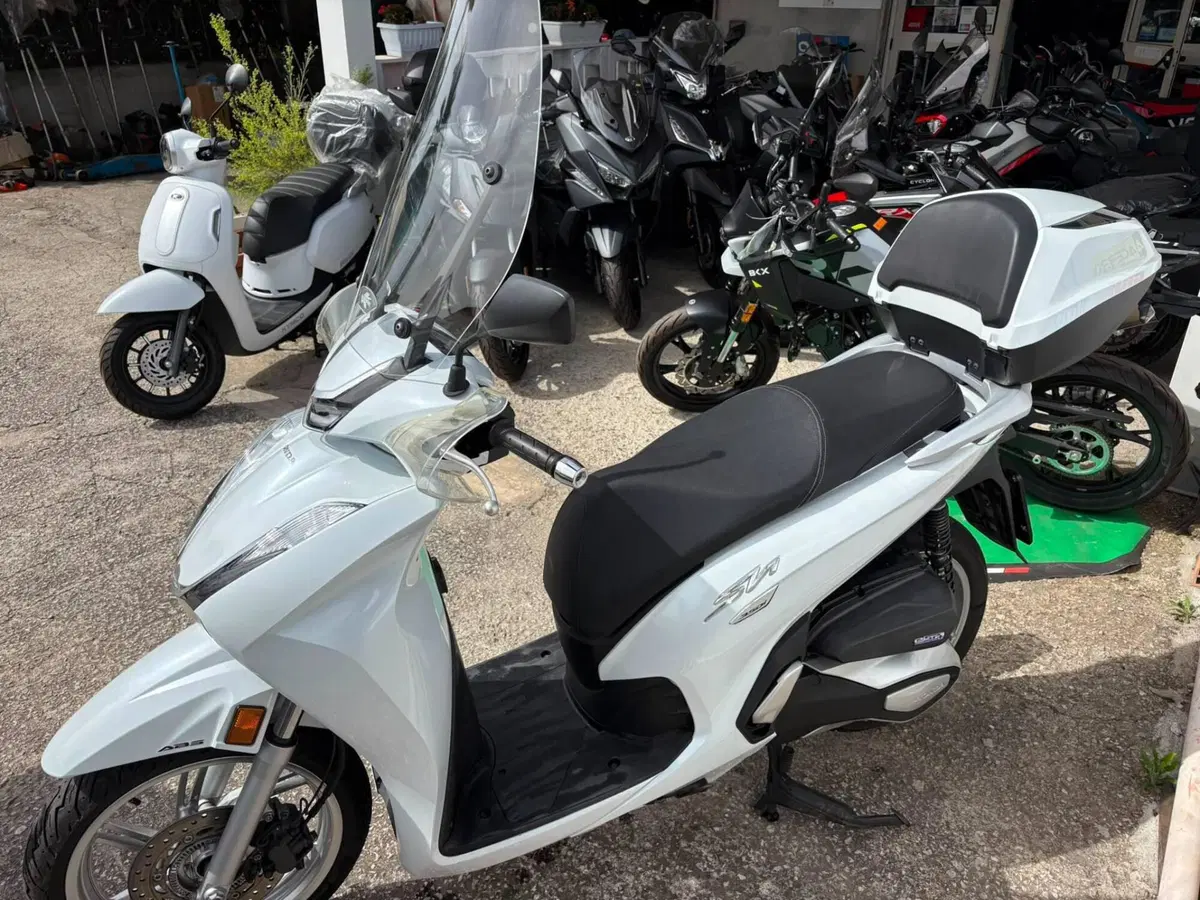 Honda SH 350 (2021 - 24) (2)