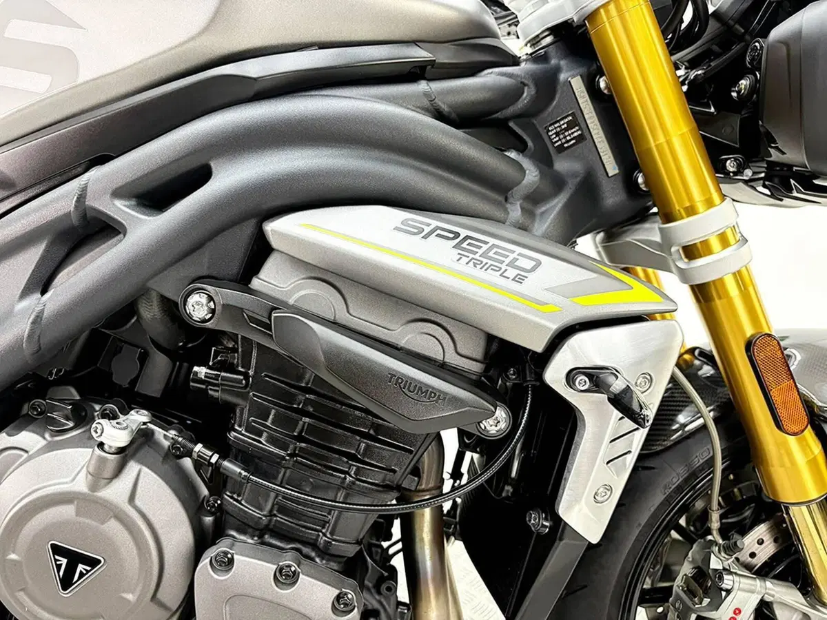 Triumph Speed Triple 1200 RS (2021 - 24) (9)