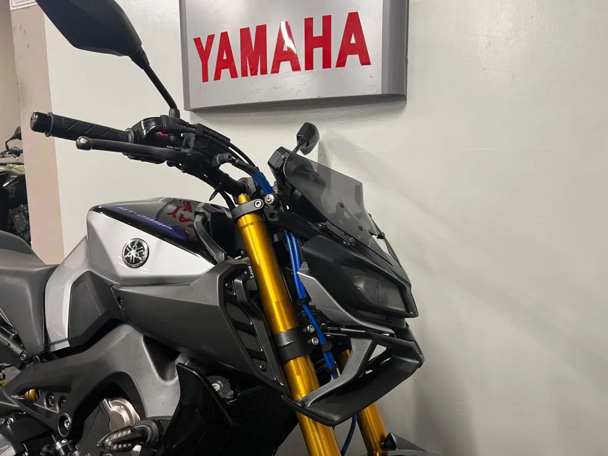 Yamaha MT-09 SP (2018 - 20) (2)