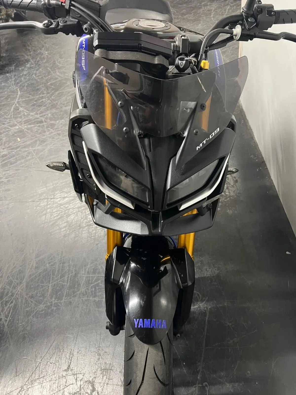 Yamaha MT-09 SP (2018 - 20) (3)