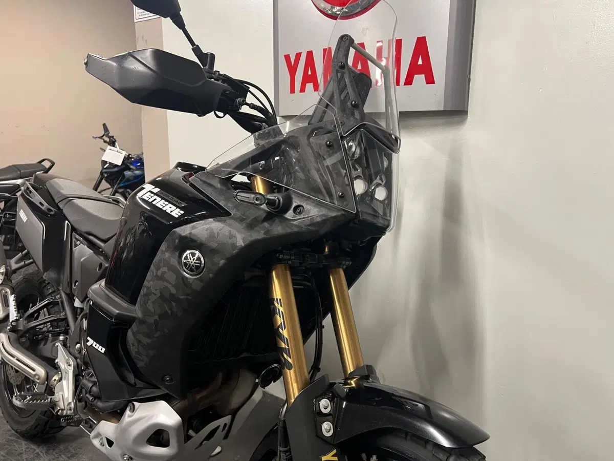 Yamaha Ténéré 700 World Raid (2022 - 25) (2)