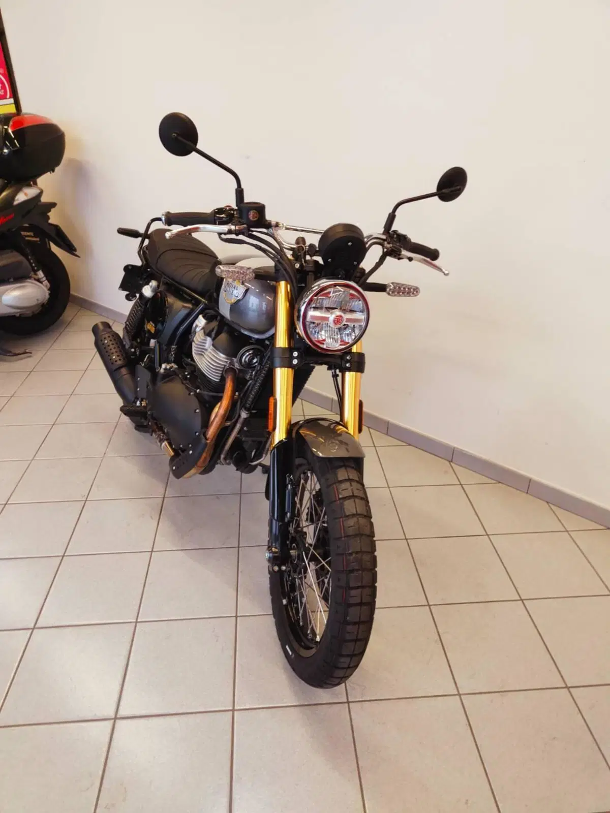 Royal Enfield Bear 650 (2025 - 26) (6)