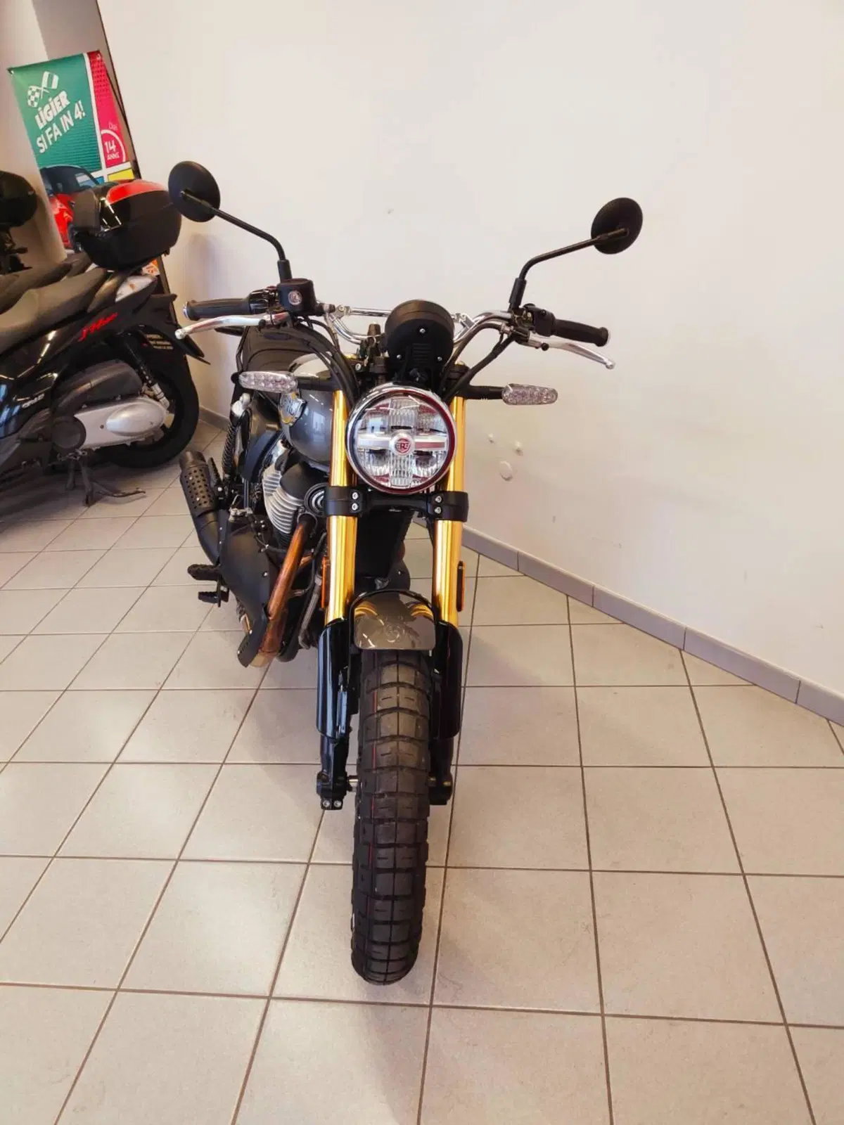 Royal Enfield Bear 650 (2025 - 26) (7)