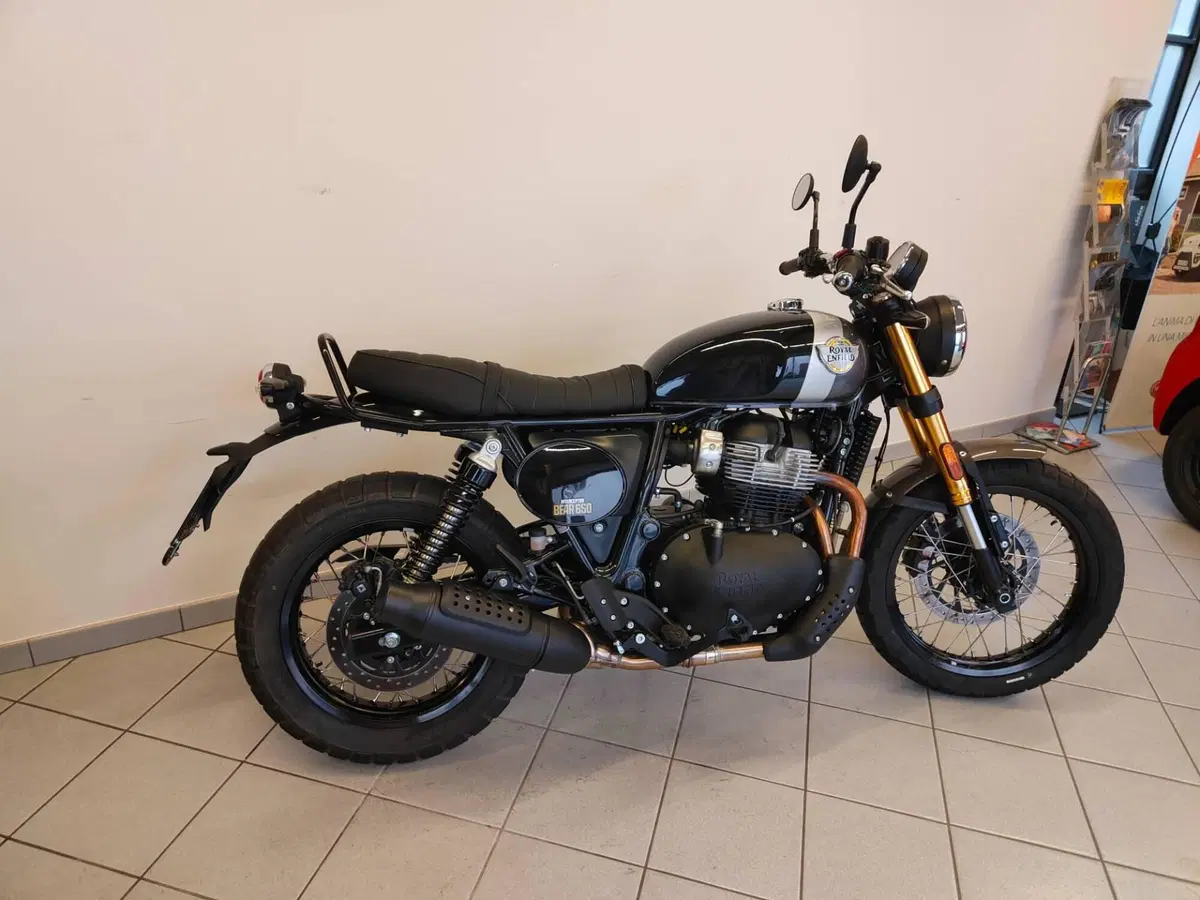 Royal Enfield Bear 650 (2025 - 26) (9)