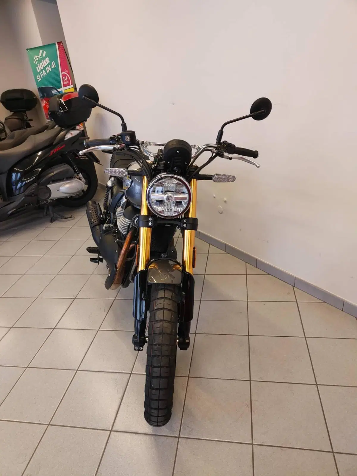 Royal Enfield Bear 650 (2025 - 26) (15)