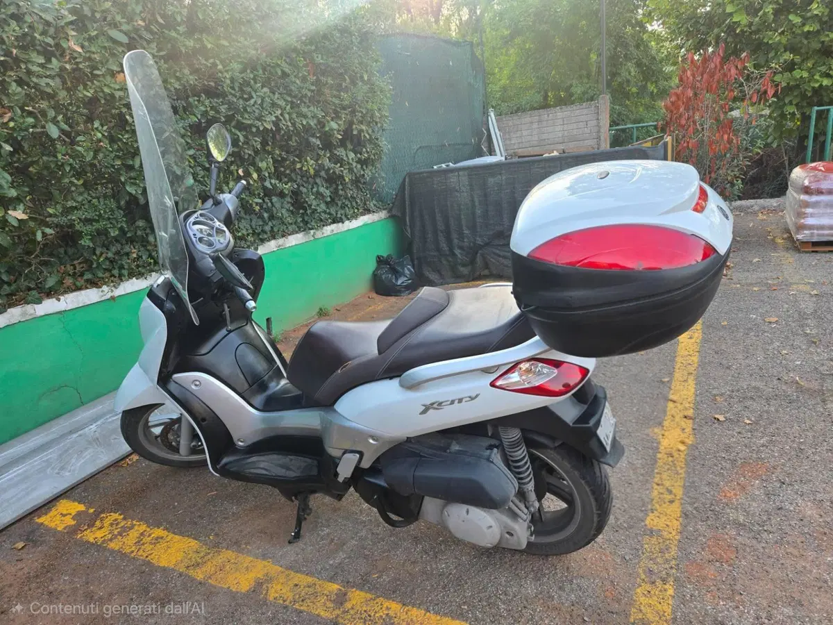 Yamaha X-City 250 (2006 - 16) (7)