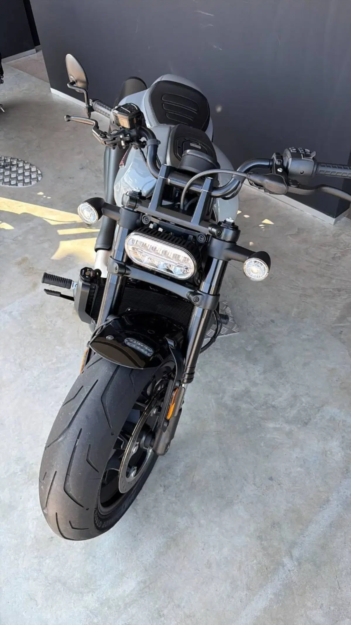Harley-Davidson Sportster S (2025 - 26) (2)