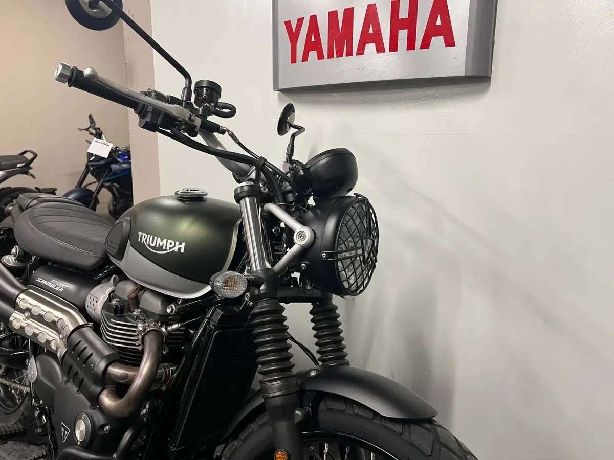 Triumph Street Scrambler 900 (2021 - 22) (2)