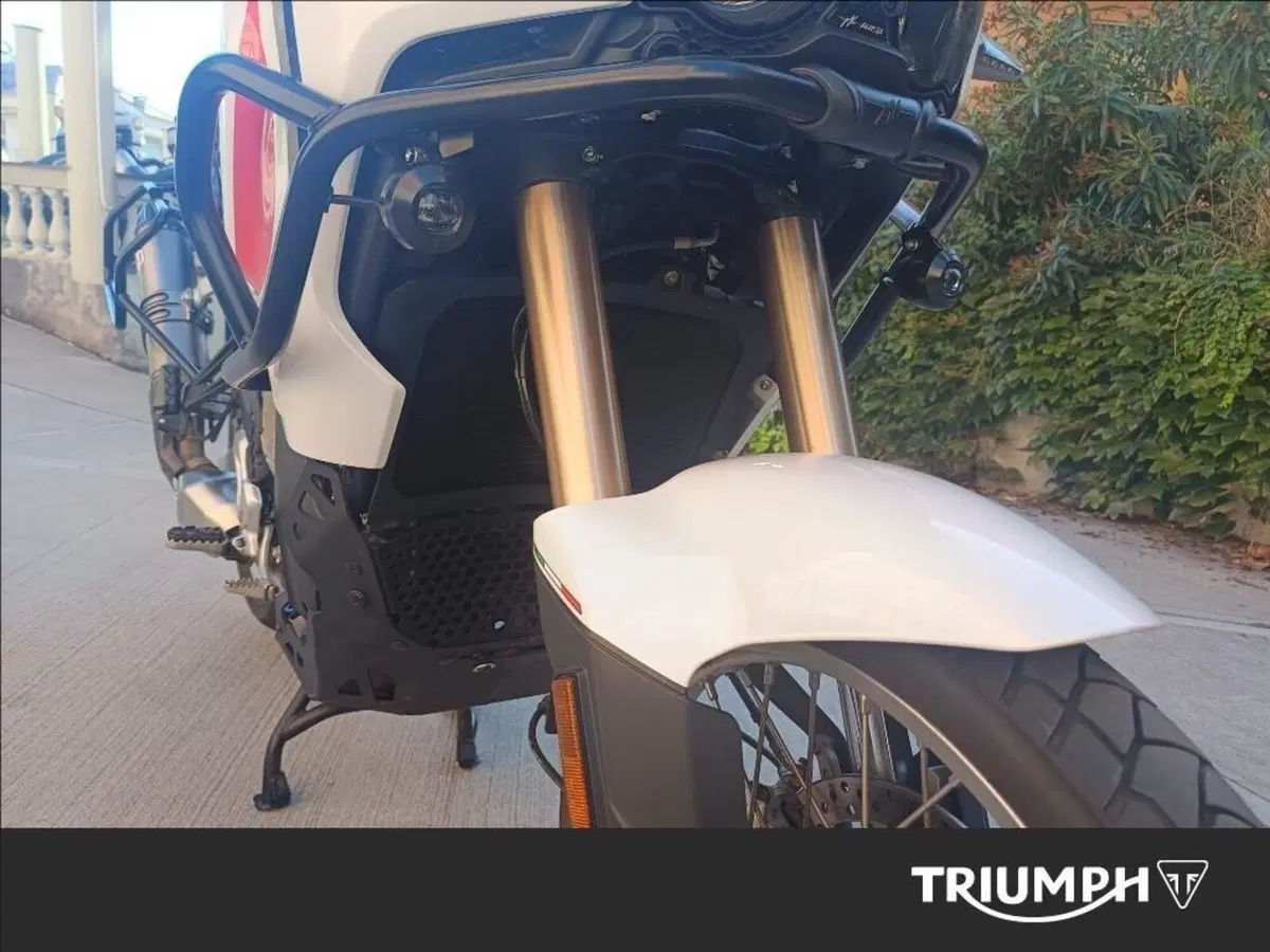 MV Agusta LXP Orioli (2024 - 26) (10)