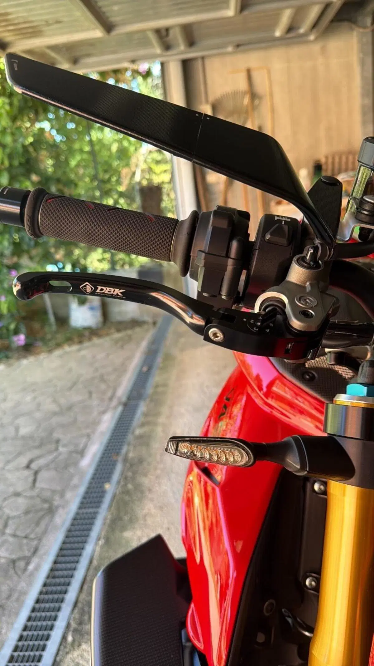 Ducati Streetfighter V4 S (2023 - 24) (11)