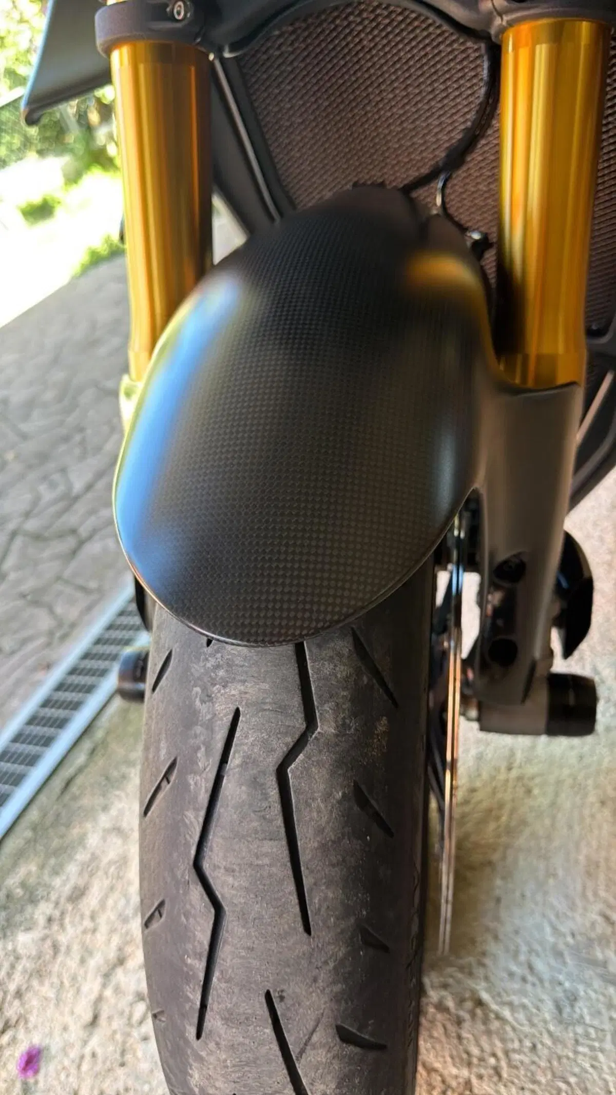 Ducati Streetfighter V4 S (2023 - 24) (13)