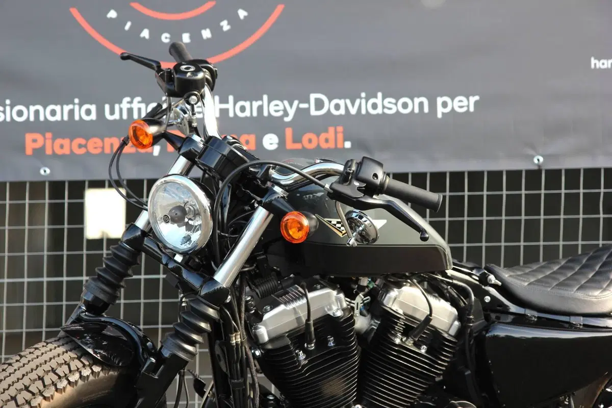 Harley-Davidson 1200 Forty-Eight (2010 - 15) (6)