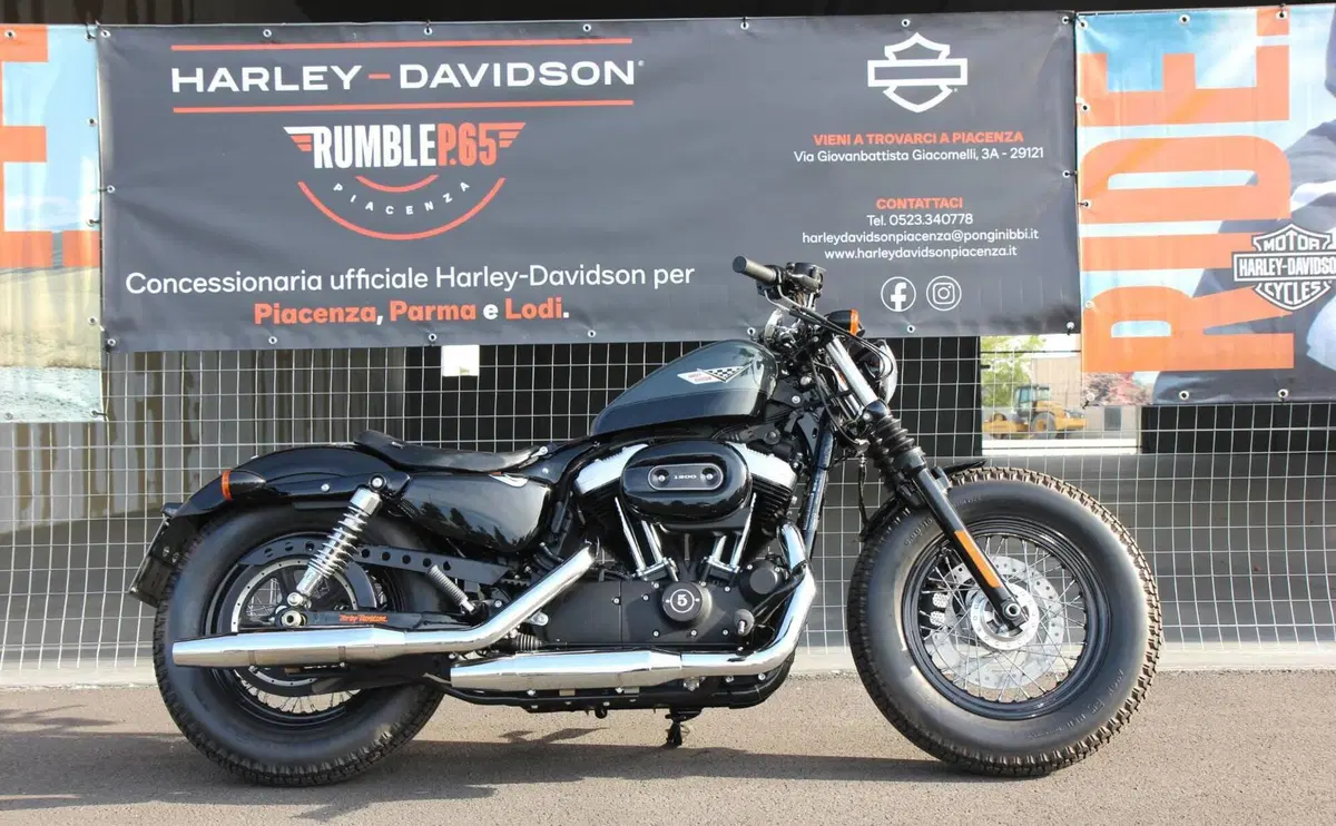 Harley-Davidson 1200 Forty-Eight (2010 - 15) (3)