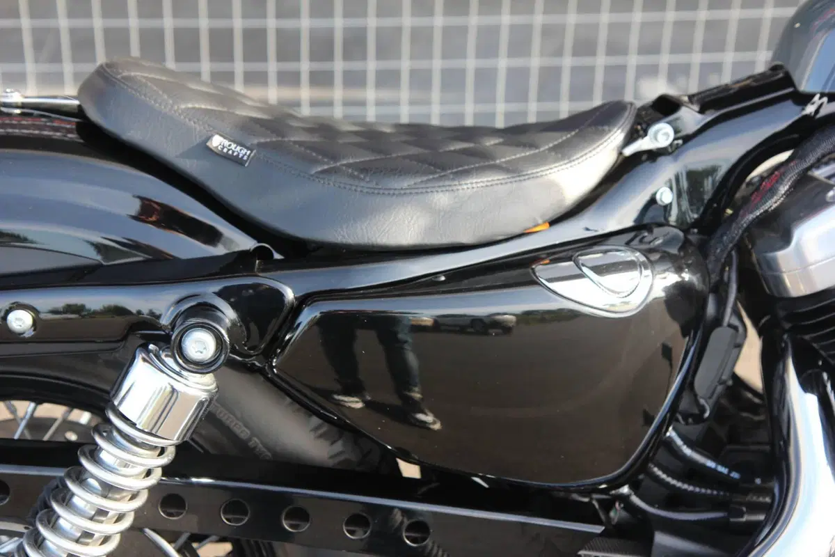 Harley-Davidson 1200 Forty-Eight (2010 - 15) (9)