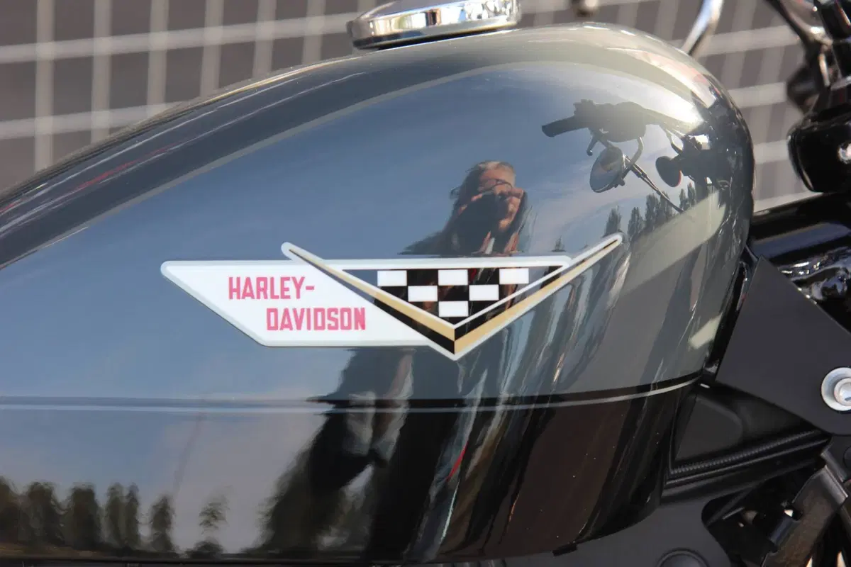 Harley-Davidson 1200 Forty-Eight (2010 - 15) (10)