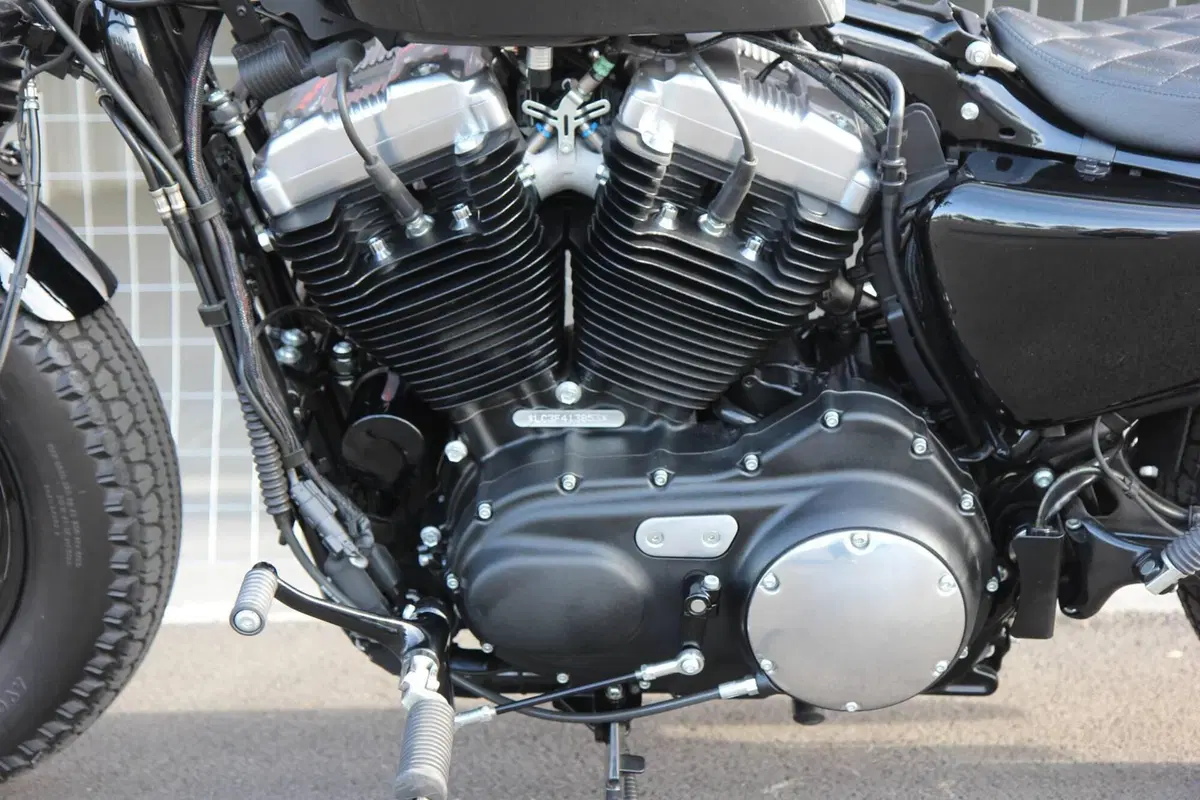 Harley-Davidson 1200 Forty-Eight (2010 - 15) (14)