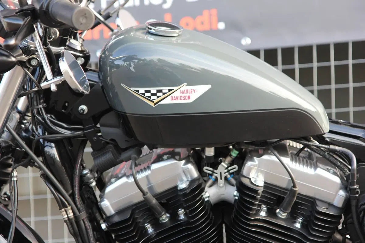 Harley-Davidson 1200 Forty-Eight (2010 - 15) (11)