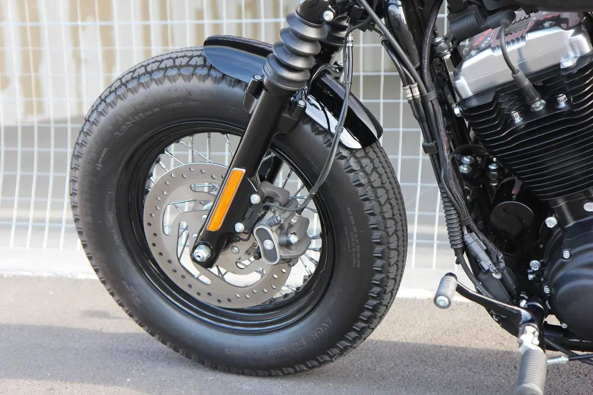 Harley-Davidson 1200 Forty-Eight (2010 - 15) (13)
