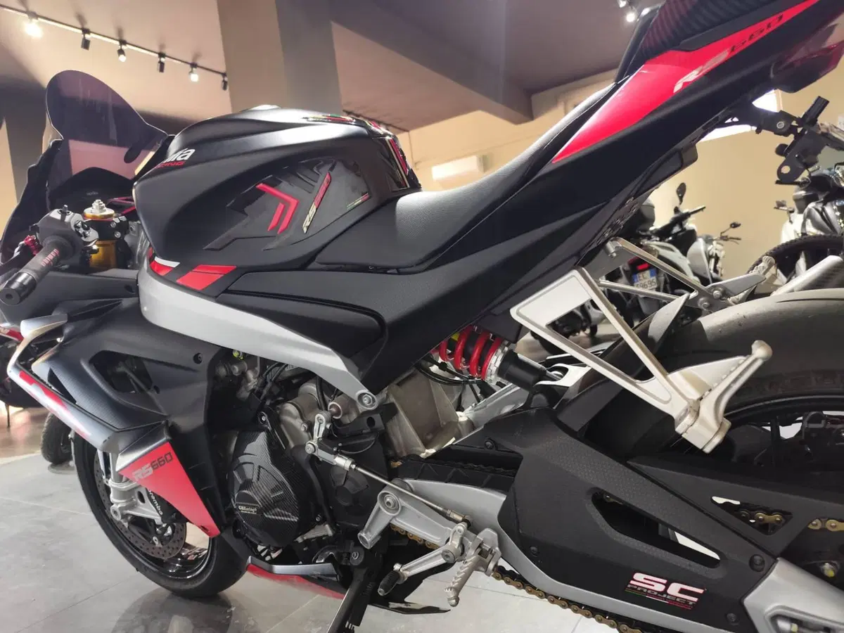 Aprilia RS 660 (2020 - 24) (6)